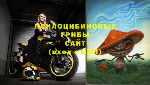 a pvp Абаза