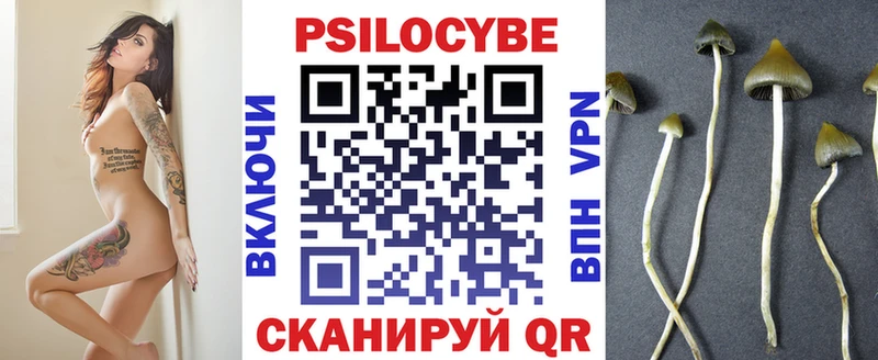 Псилоцибиновые грибы мицелий  купить наркоту  Мостовской 